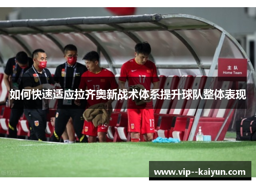 如何快速适应拉齐奥新战术体系提升球队整体表现