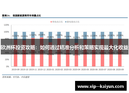 欧洲杯投资攻略:如何通过精准分析和策略实现最大化收益 欧洲杯投资攻略:如何通过精准分析和策略实现最大化收益