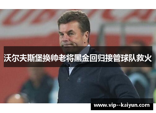 沃尔夫斯堡换帅老将黑金回归接管球队救火 沃尔夫斯堡换帅老将黑金回归接管球队救火