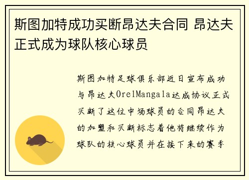 斯图加特成功买断昂达夫合同 昂达夫正式成为球队核心球员